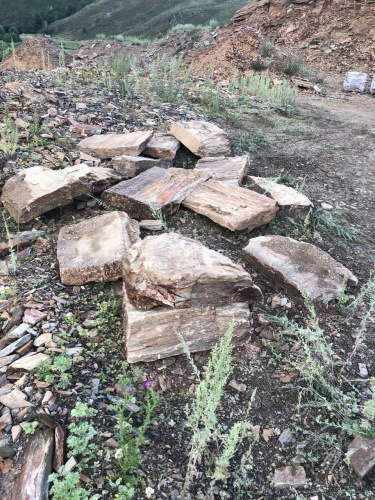 Пошаговая дорожка из плит златолит кора дерева купить в Йошкар-Оле